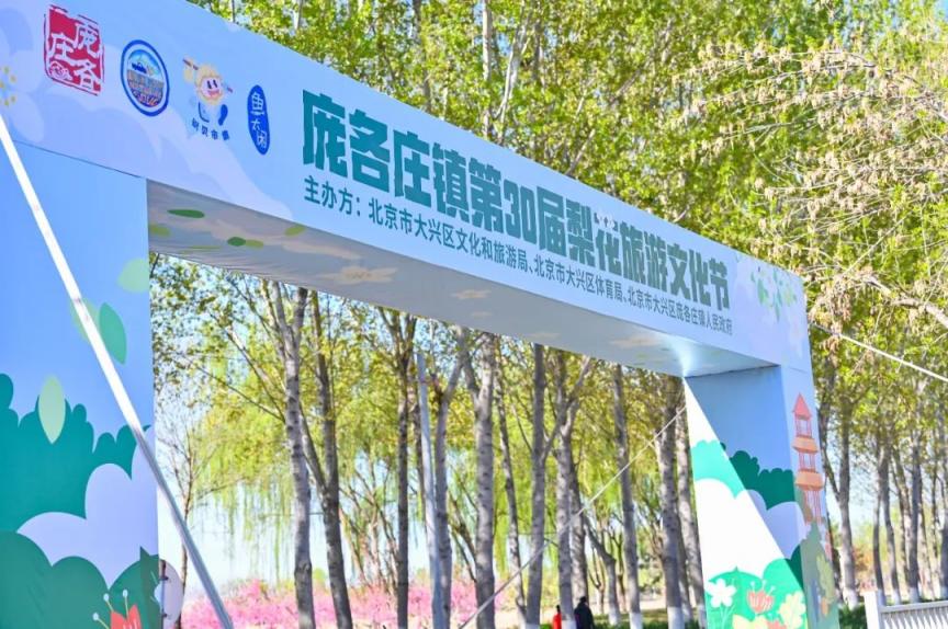 聚焦文旅新格局庞各庄镇第三十届梨花旅游文化节繁花相迎