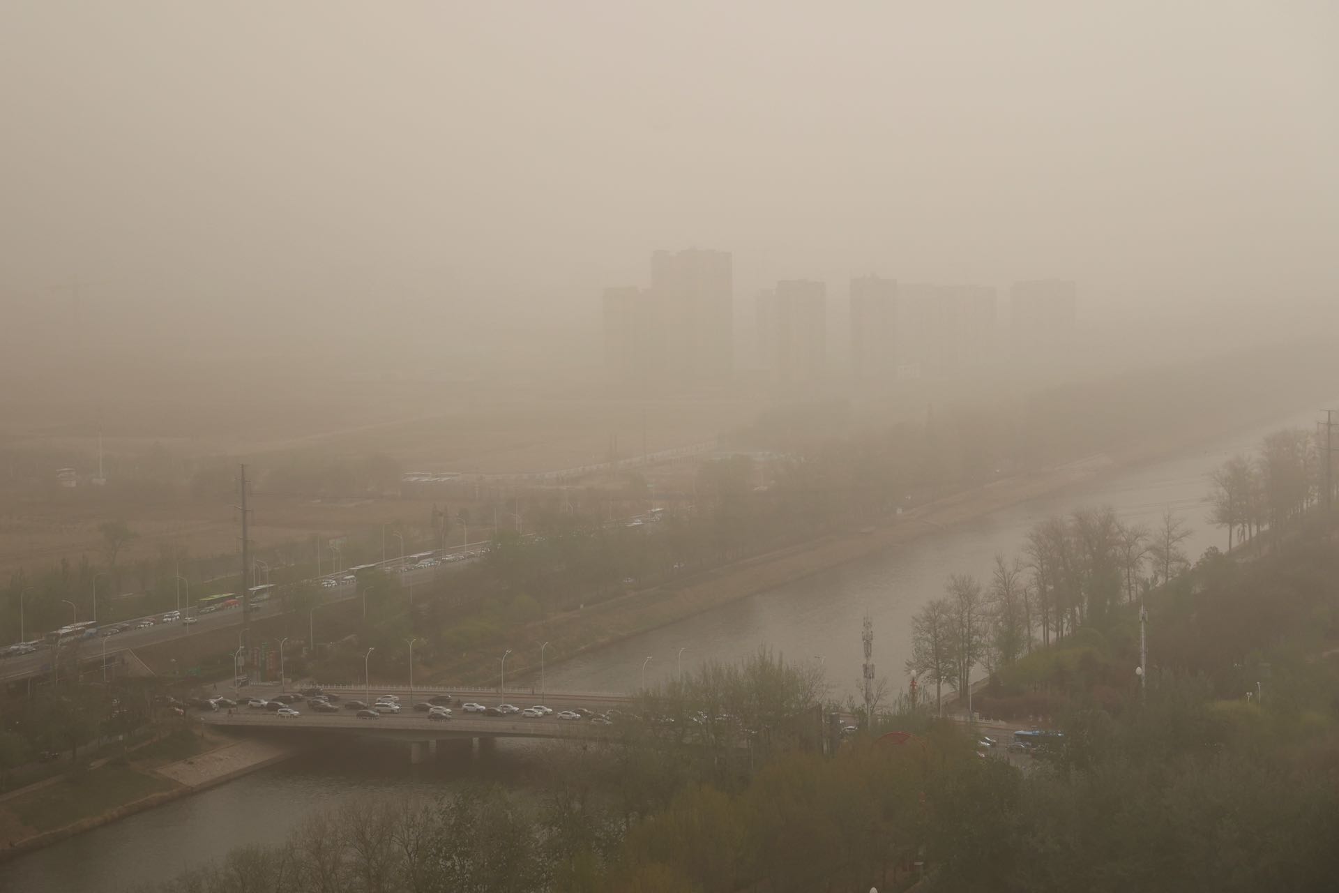 透过盛开的玉兰花看到沙尘天气里的太阳据北京市气象台11日6时发布
