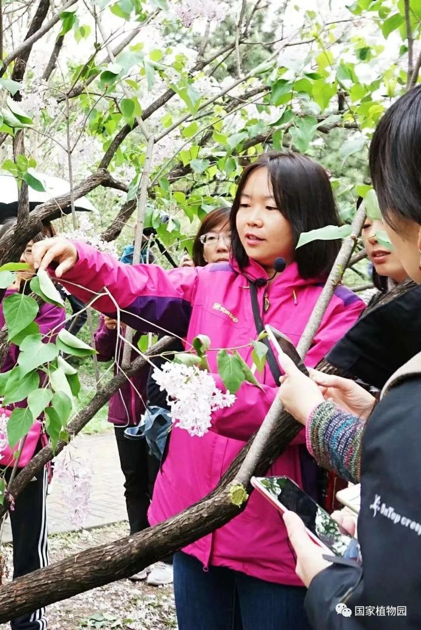 活动回顾丨专家带您识花草丁香品种辨识