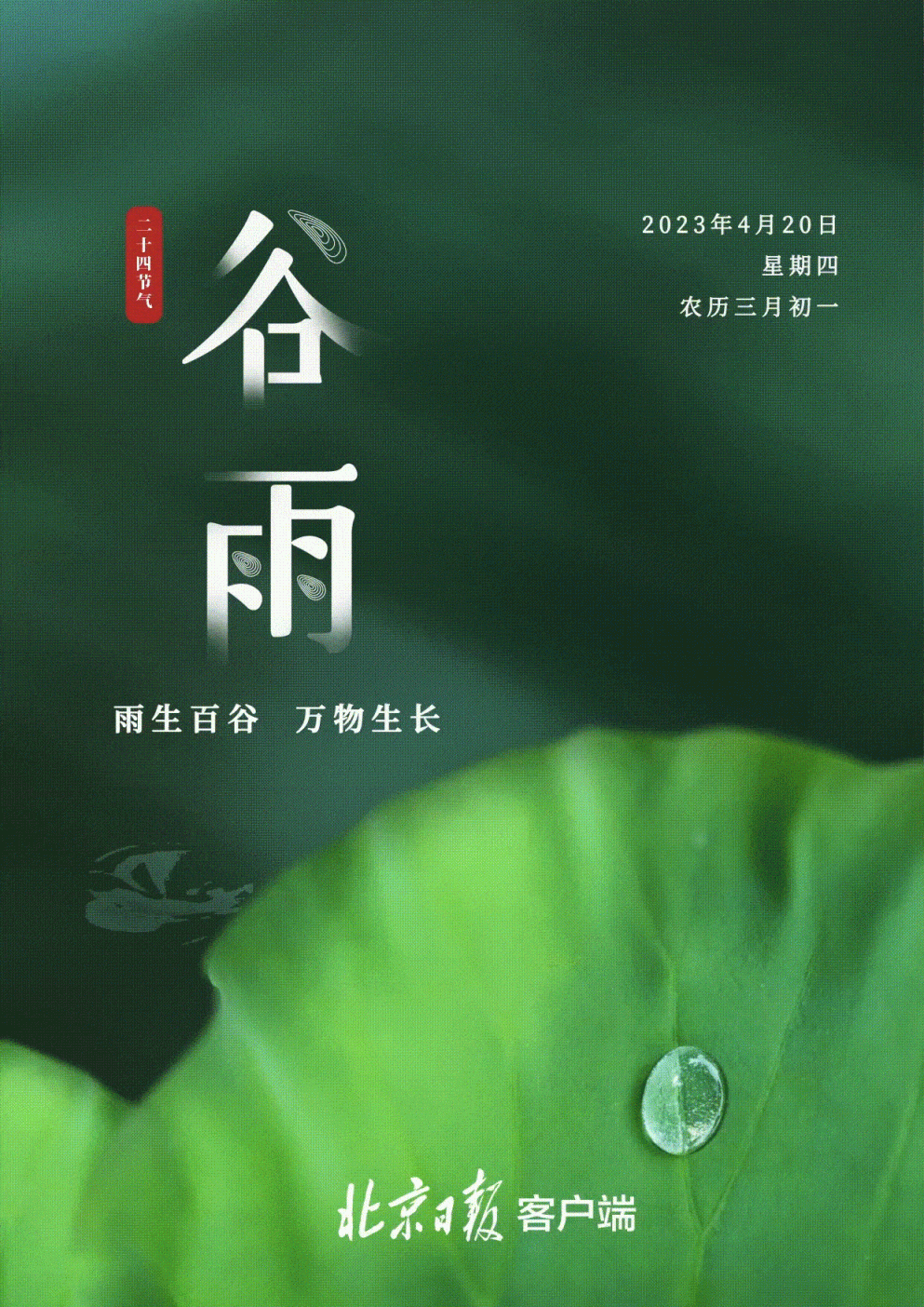 今日谷雨!雨生百谷,迎接春天最后一个回眸_北京日报网