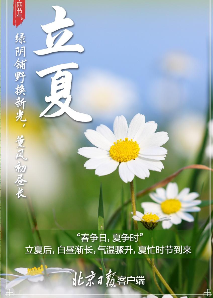 今日立夏！万物自此成长，你好，夏天