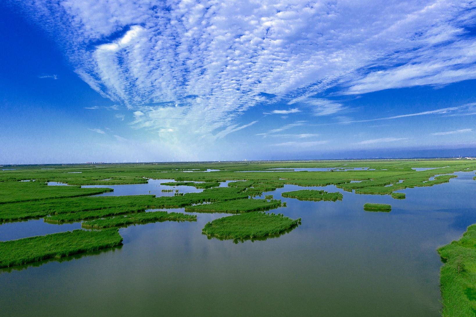 河津湿地公园图片