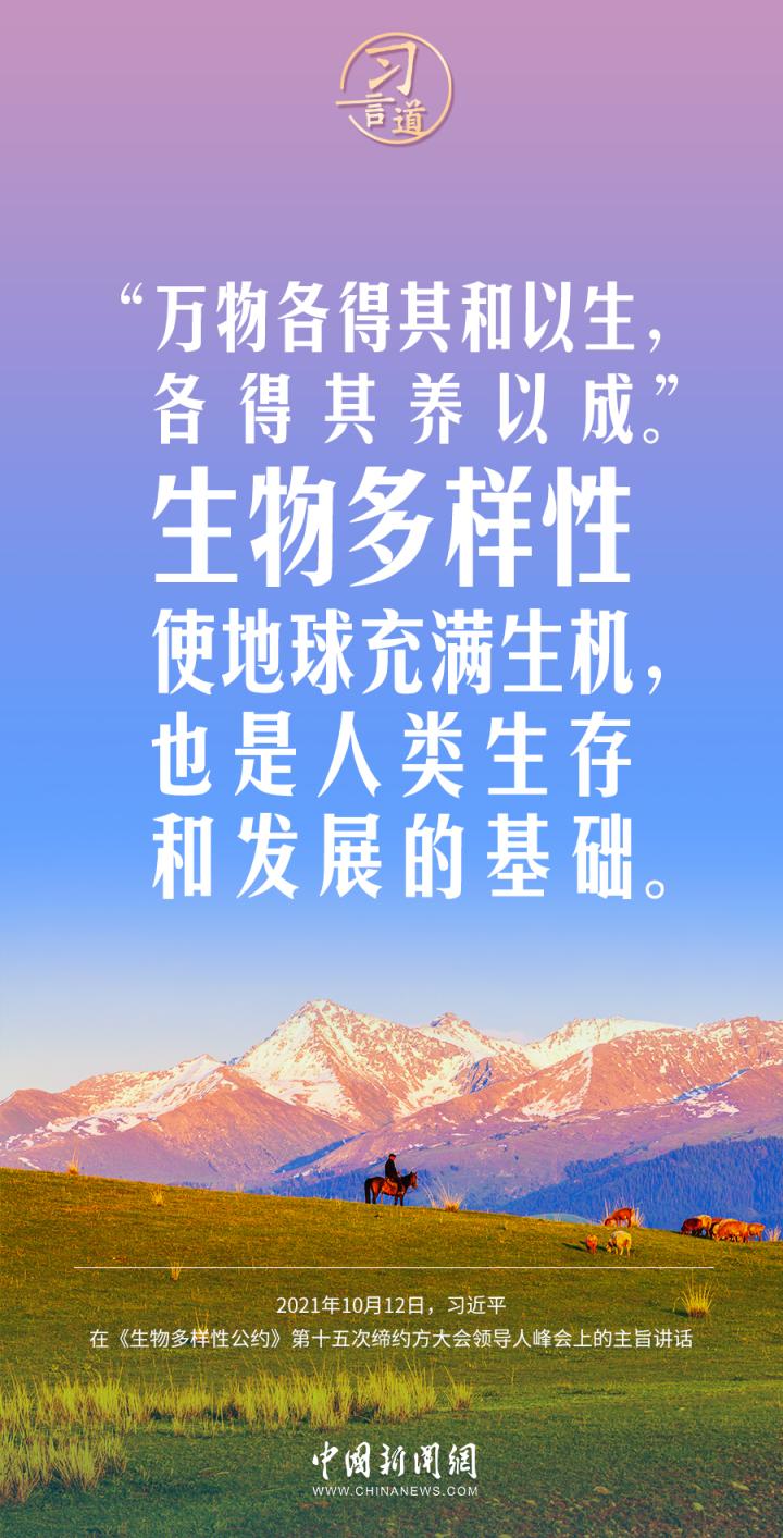 习言道|我们要深怀对自然的敬畏之心_北京日报网