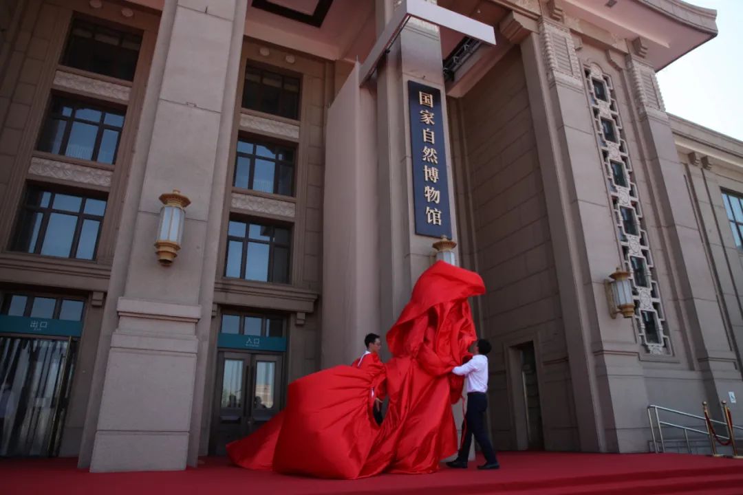 国家自然博物馆8月延时开放,邀孩子们夜宿恐龙公园