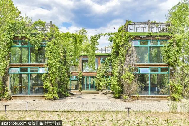 去京城这些地方，沉浸式体验中医药文化