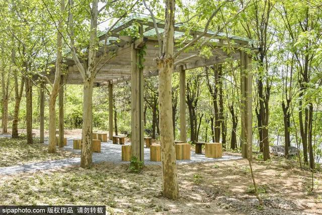 去京城这些地方，沉浸式体验中医药文化