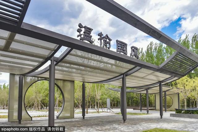 去京城这些地方，沉浸式体验中医药文化