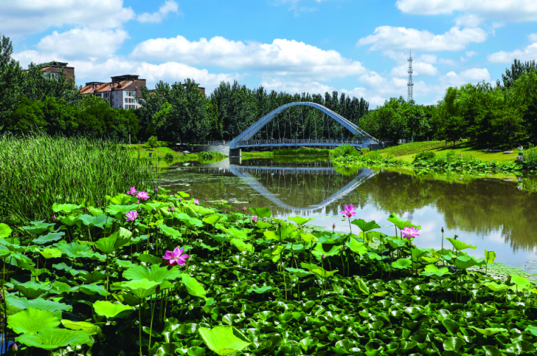 绣花功夫雕琢城市之美园林绿化作品扮靓房山