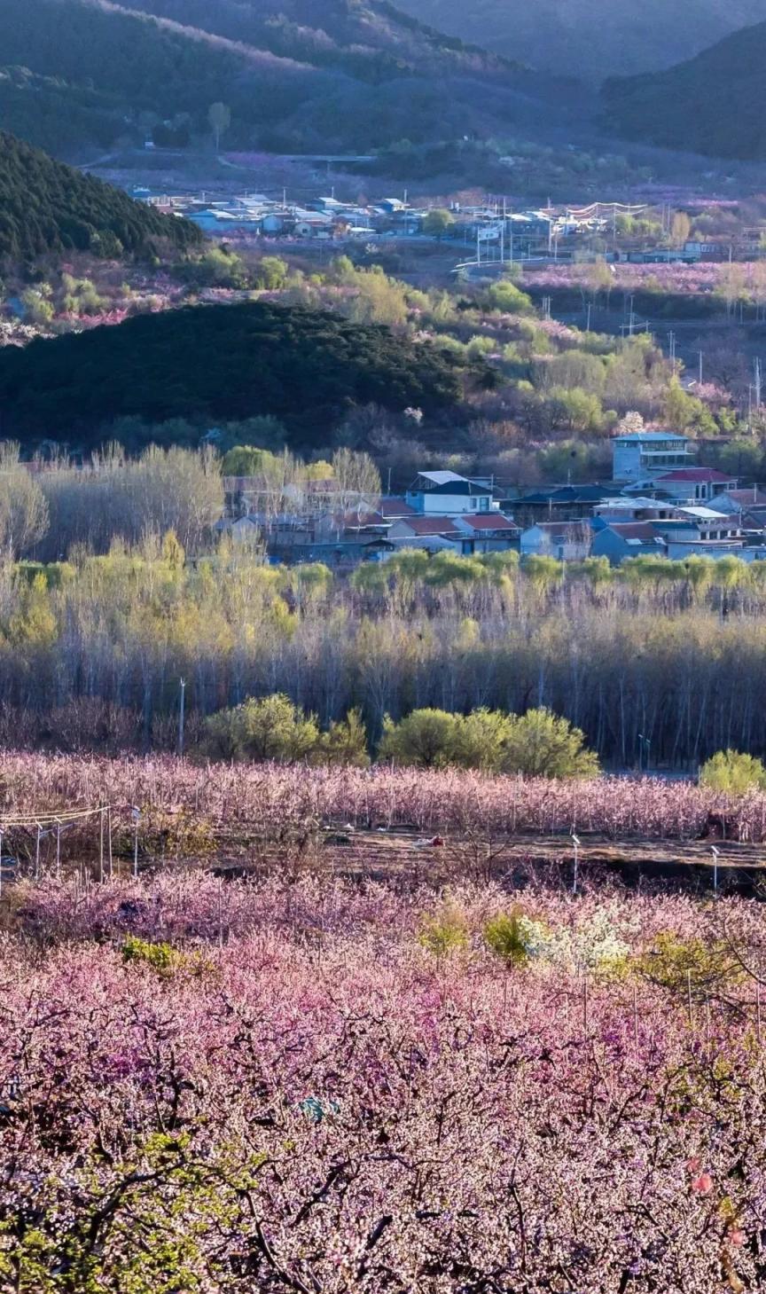 光影绘美景醉美平谷行这些瞬间你一定见过