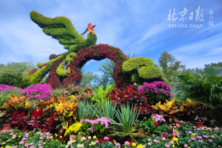 十一国庆花坛植物搭配图片