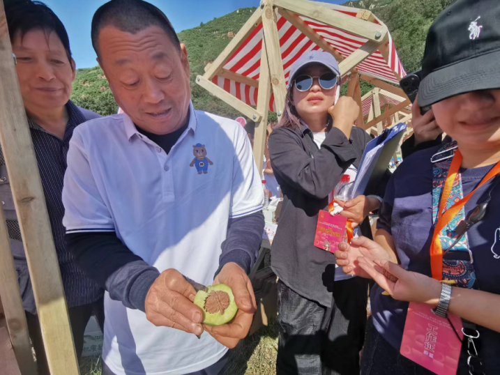 四座楼”文玩核桃熟了！老款闷尖狮子头等极品亮相