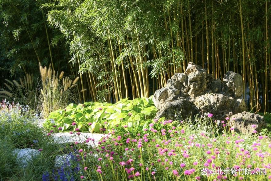 紫竹院公园节日氛围