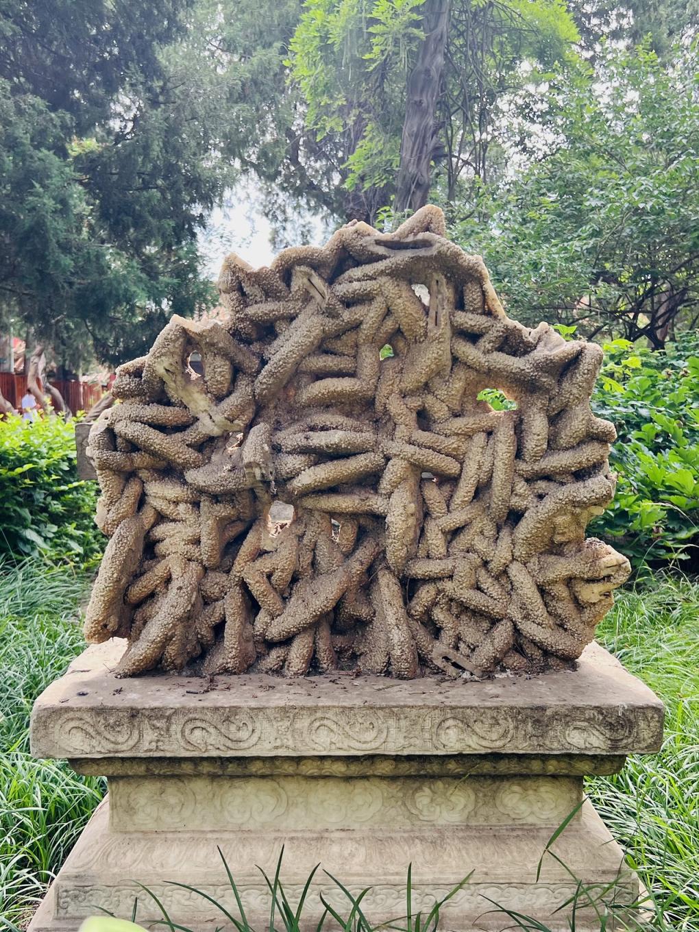 木变石太湖石英石钟乳石御花园里有哪些奇石