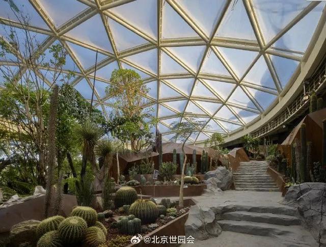 这些"氧气感"满满的温室植物园,初冬去刚刚好!