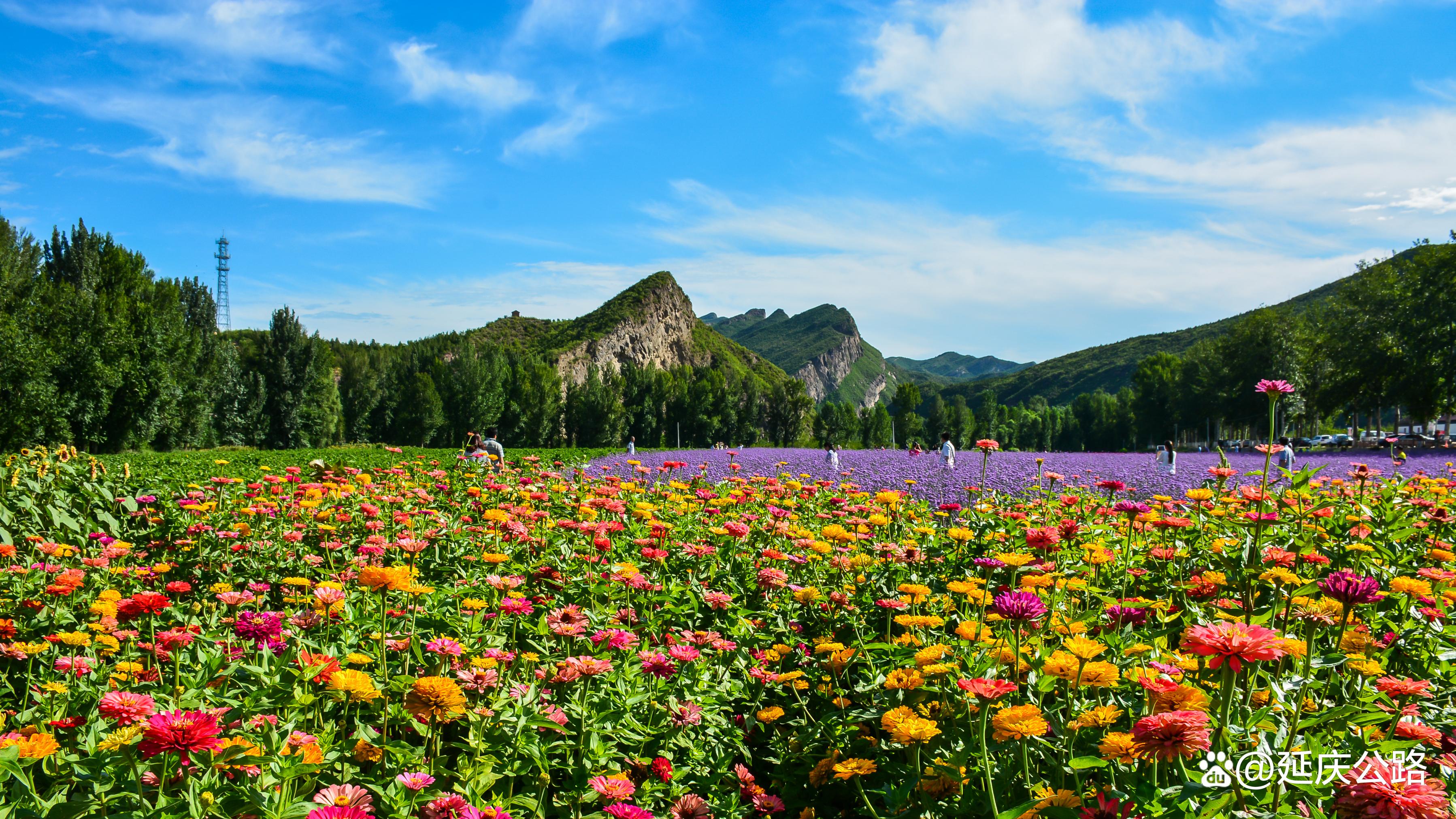 种类多样,植被覆盖率达到98%,滴水壶,乌龙峡谷,硅化木群,珍珠山水,四