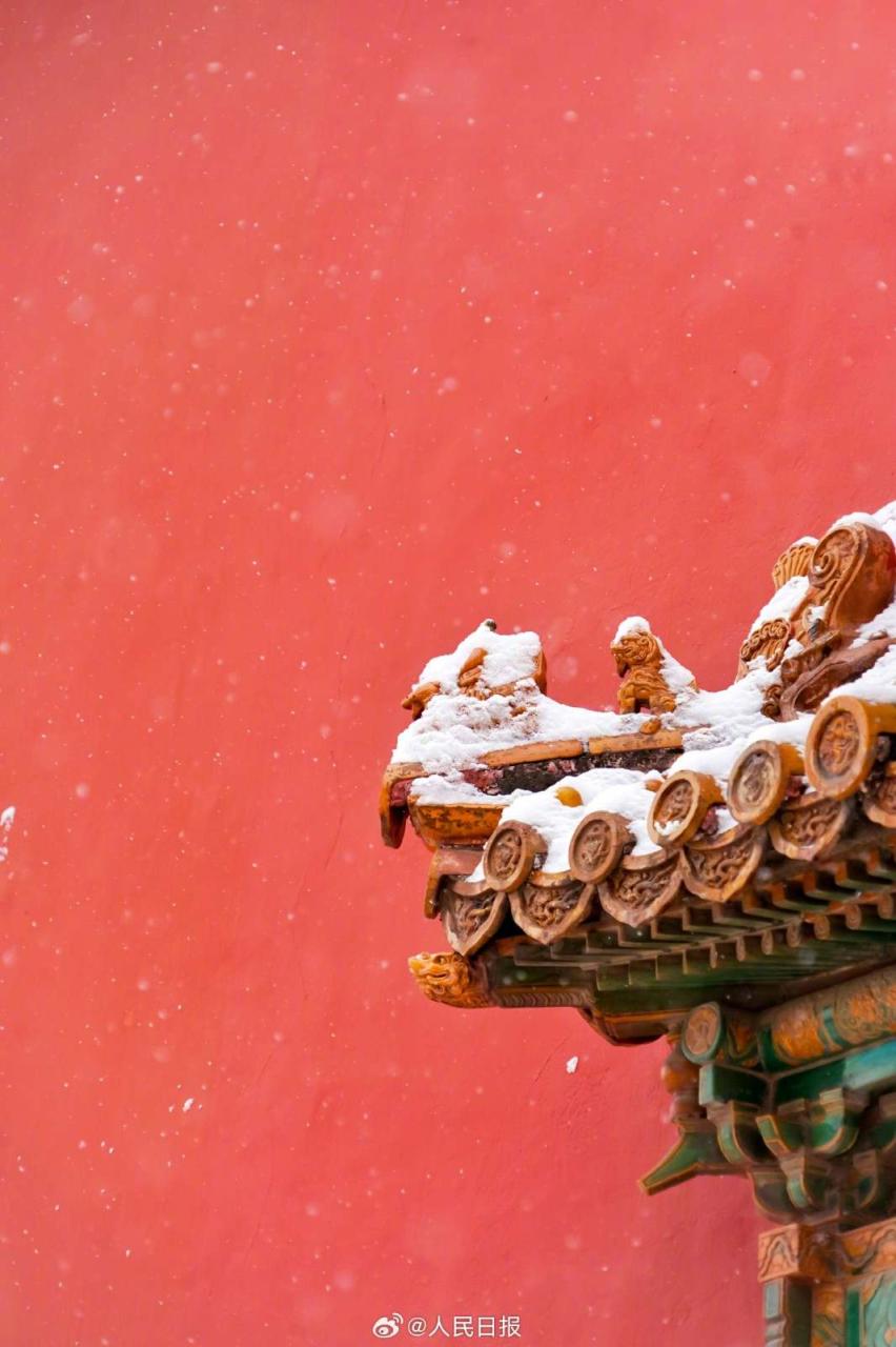 白雪红墙!故宫雪景再上新
