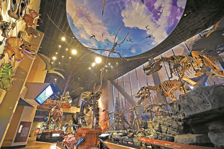 探展京津冀中国古动物馆落户河北保定约6000件展品亮相