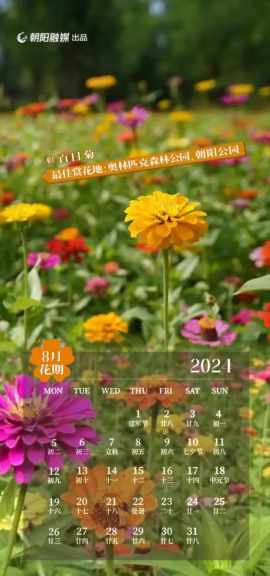 最佳赏花地:奥林匹克森林公园,朝阳公园花期:六月-九月9月-粉 黛 乱