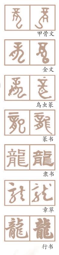 龙纹饰从蜷卧到飞腾来津门博物馆追寻九宝寻龙