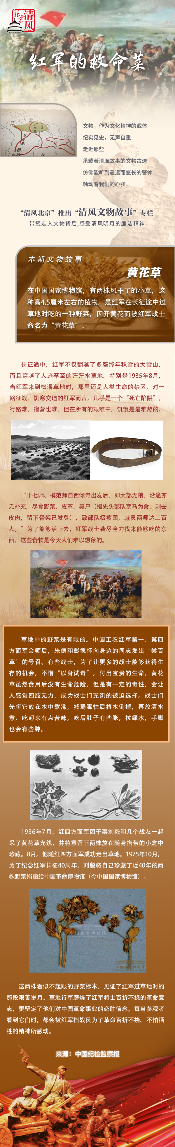清风文物故事红军的救命菜