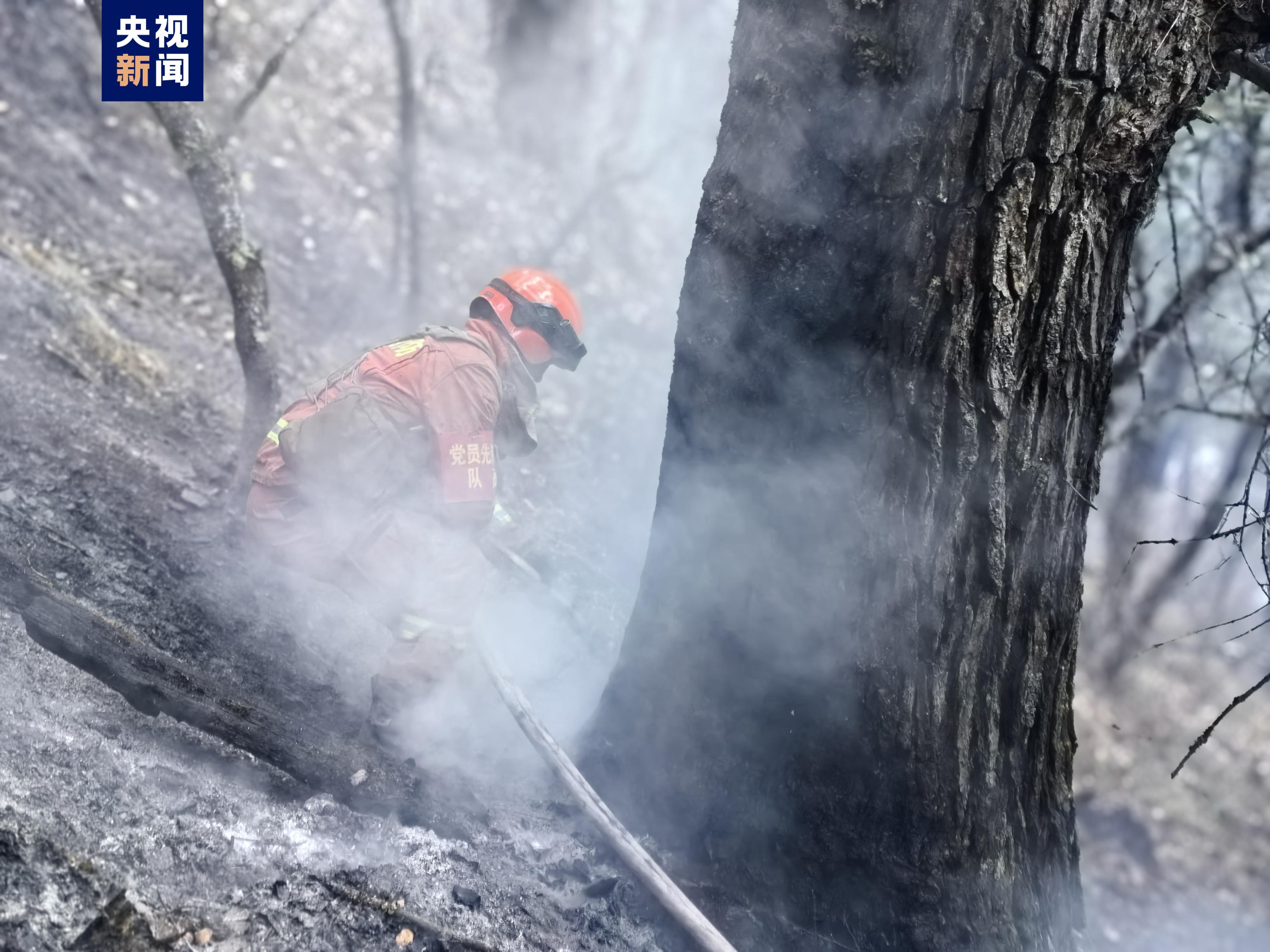 四川雅江森林火灾3号火场已无明火