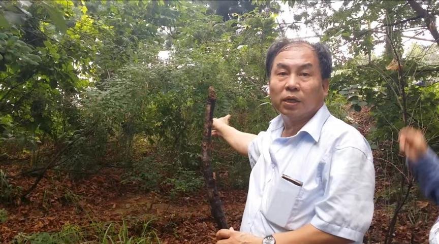 为了寻找志愿军烈士遗骸他130余次奔赴朝鲜韩国