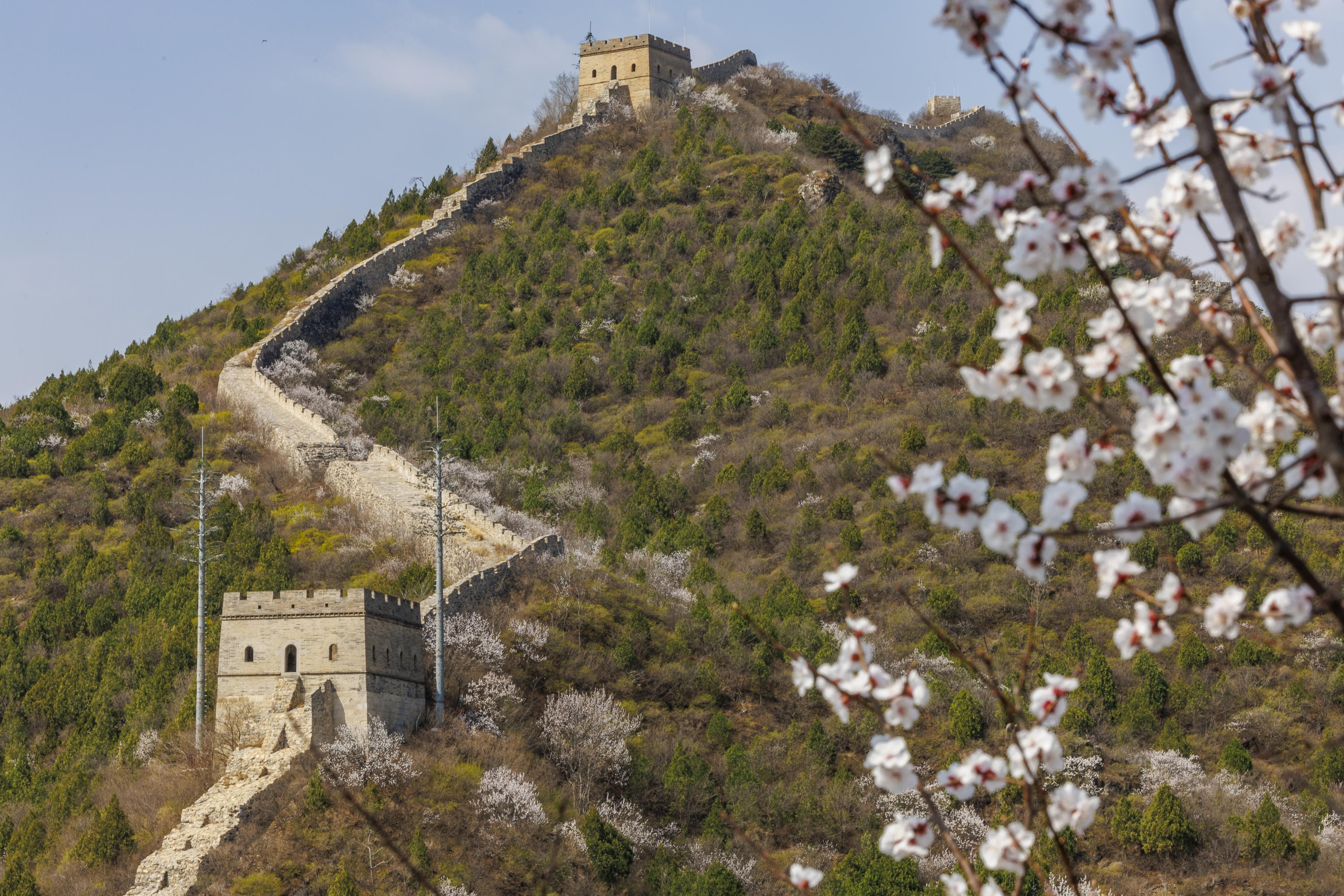 怀北杏花节开幕四月上新五大主题旅游路线