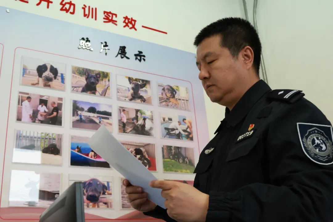 揭秘小警犬是如何转正的