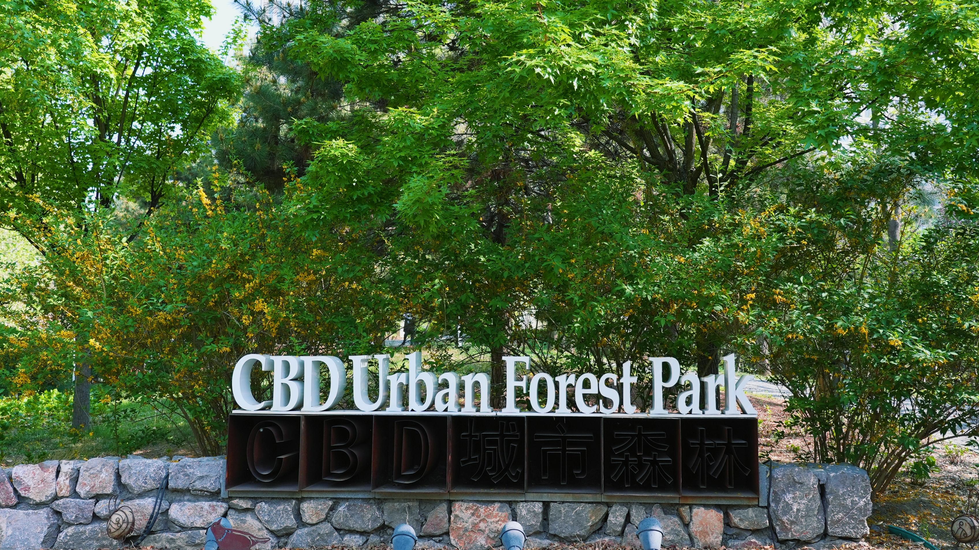 为"花园城市"再添一景北京cbd城市森林公园