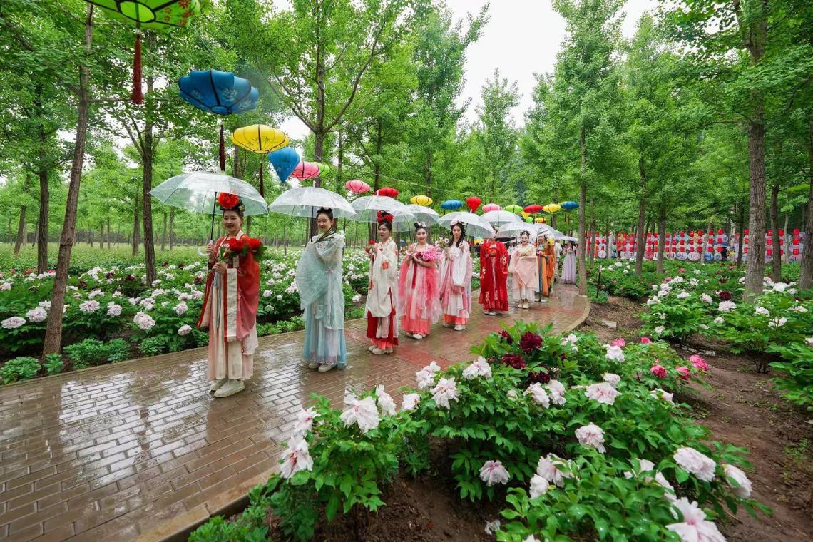 赏牡丹国色,品运河文韵,通州漷县牡丹园游园会开园迎客