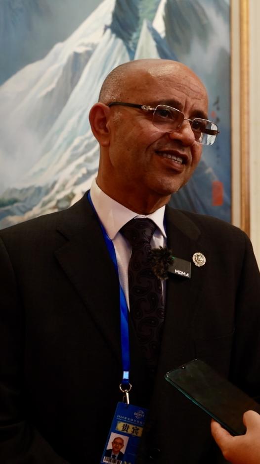 阿盟驻华大使:关于中国经济"产能过剩"的舆论过于夸大