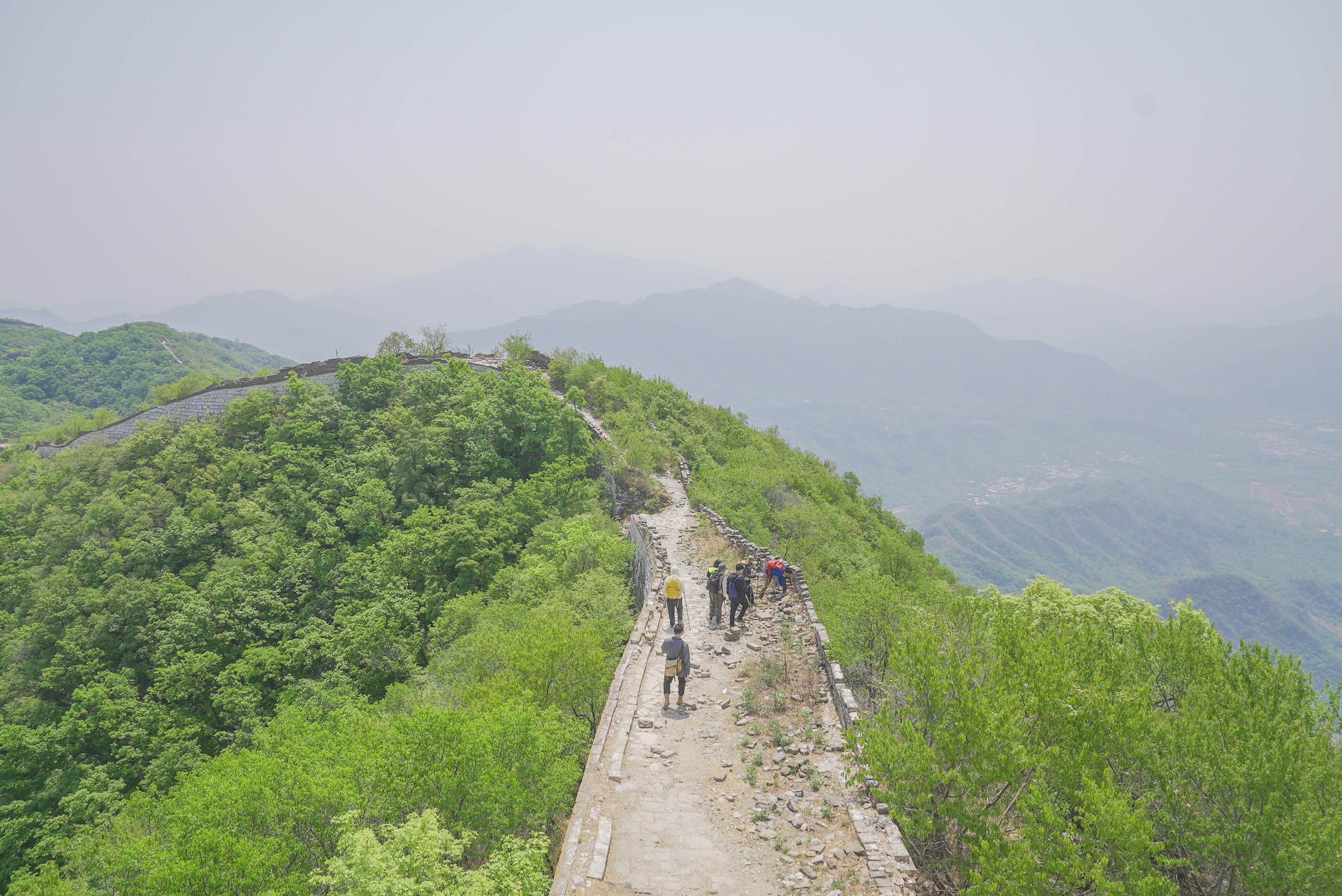 植物,土壤,灰浆都要取样,箭扣长城来了三位不同学科博士
