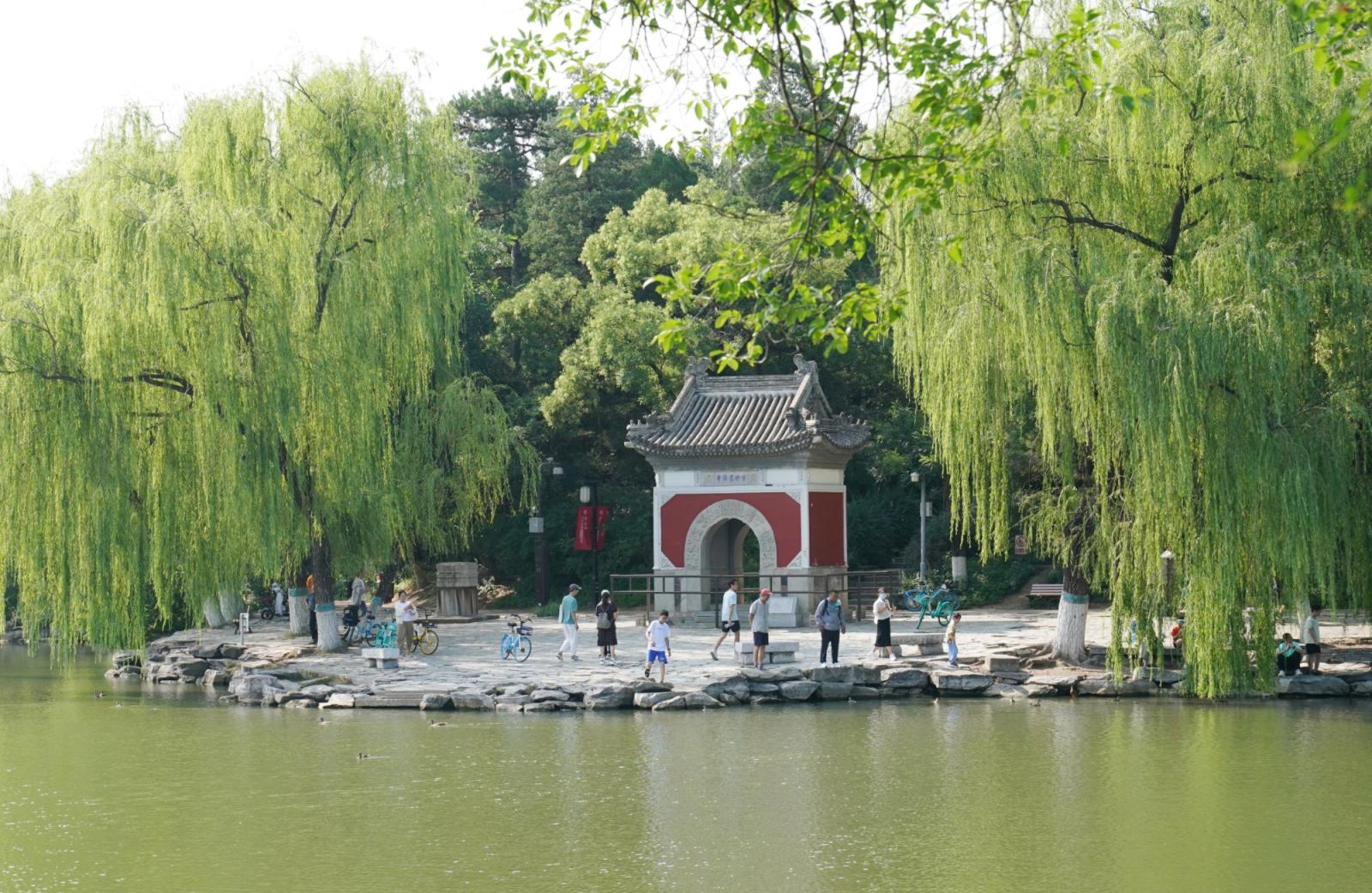 北大开放暑期校园参观，到京第一站感受最高学府底蕴_京报网