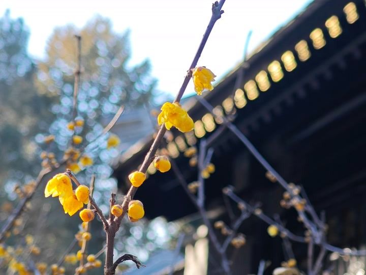 京报图库_京报网