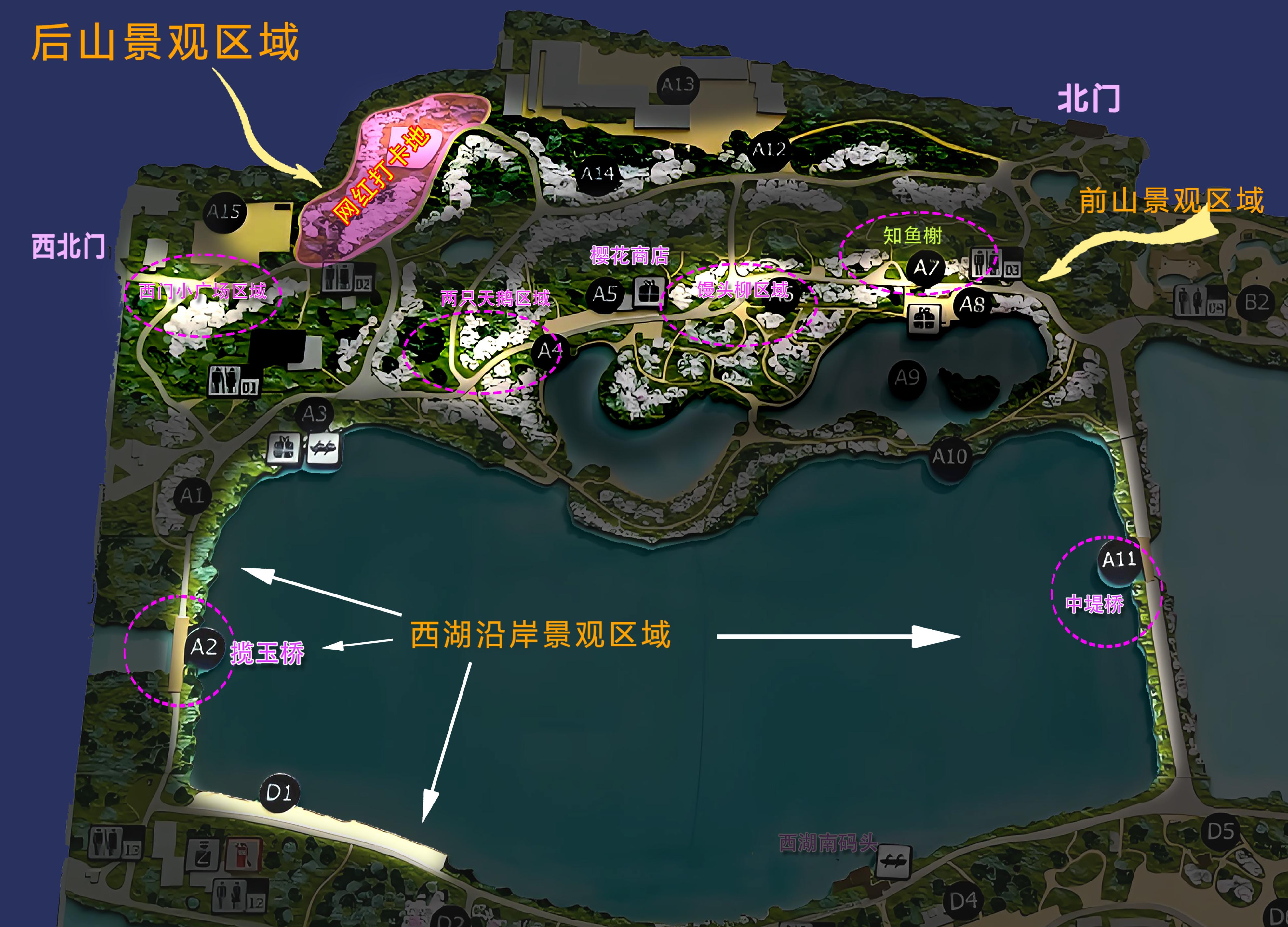 夜赏樱花是怎样的体验?玉渊潭公园清明开启夜景亮化