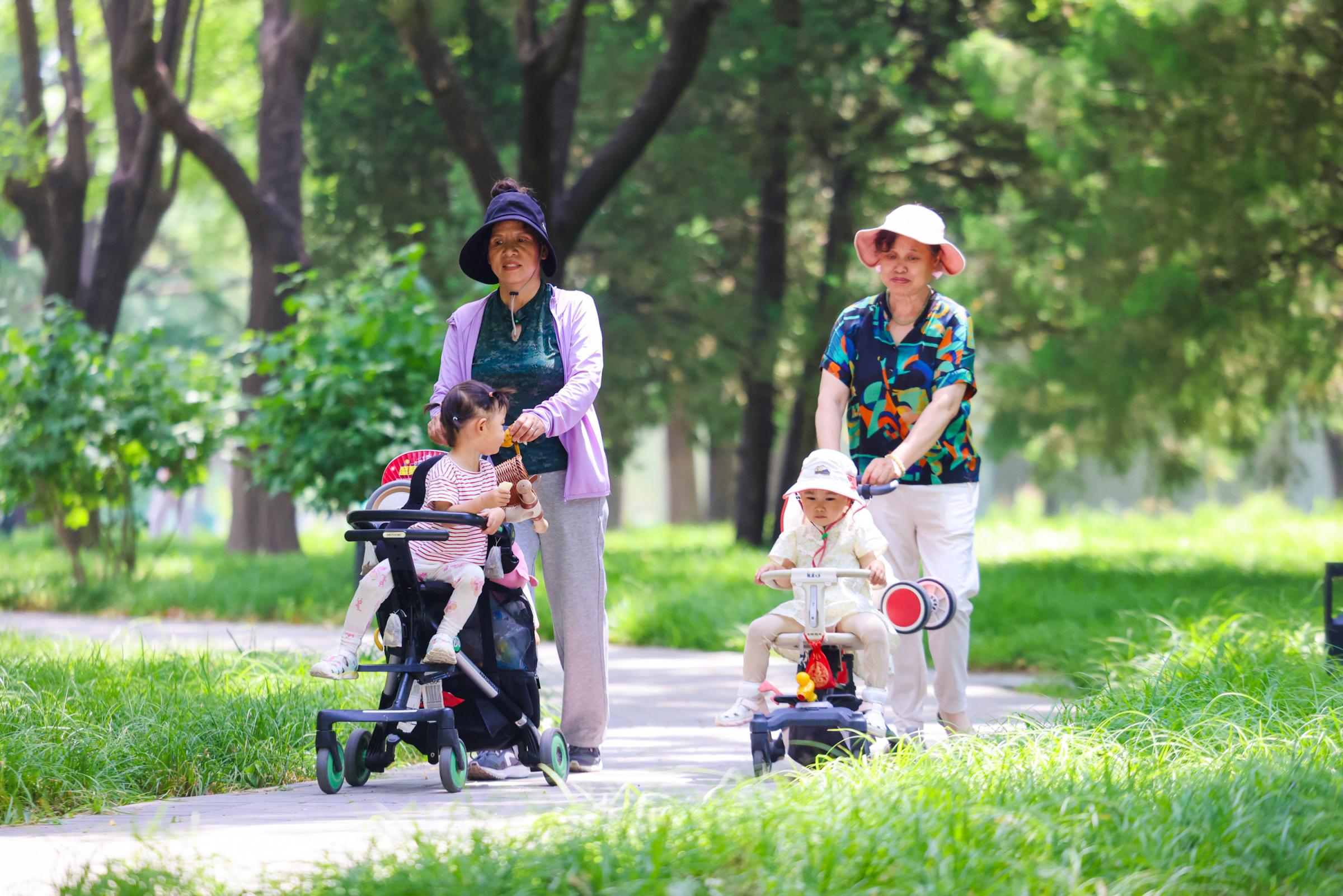 夏日公园绿意盎然,消夏纳凉享受美好时光_北京日报网