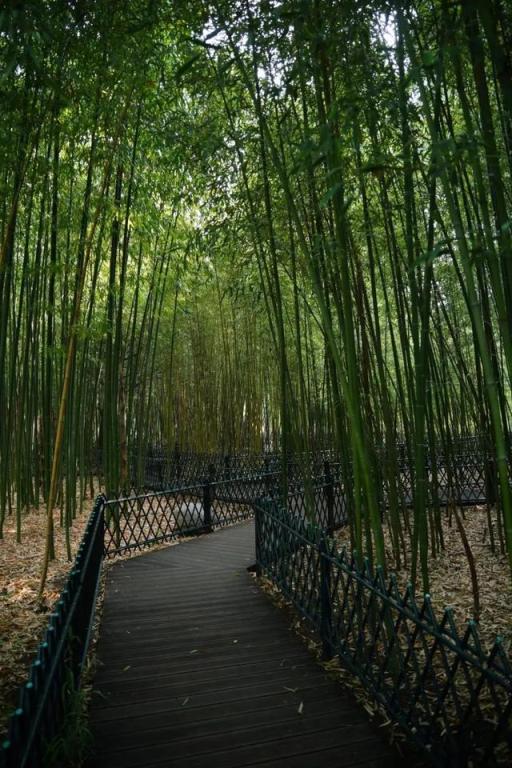 哇哦!在北京会移动的观景台上兜风,这很夏天