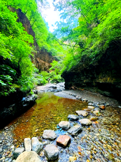 准考证 = 免票 + 折扣 + 解锁隐藏款青春限定旅程！快冲→