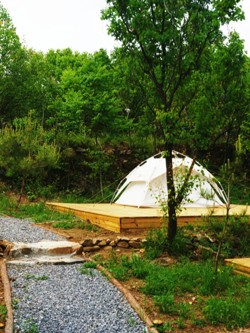 准考证 = 免票 + 折扣 + 解锁隐藏款青春限定旅程！快冲→