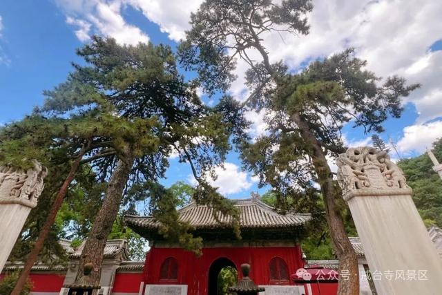 准考证 = 免票 + 折扣 + 解锁隐藏款青春限定旅程！快冲→