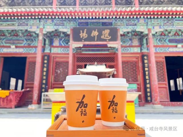 准考证 = 免票 + 折扣 + 解锁隐藏款青春限定旅程！快冲→