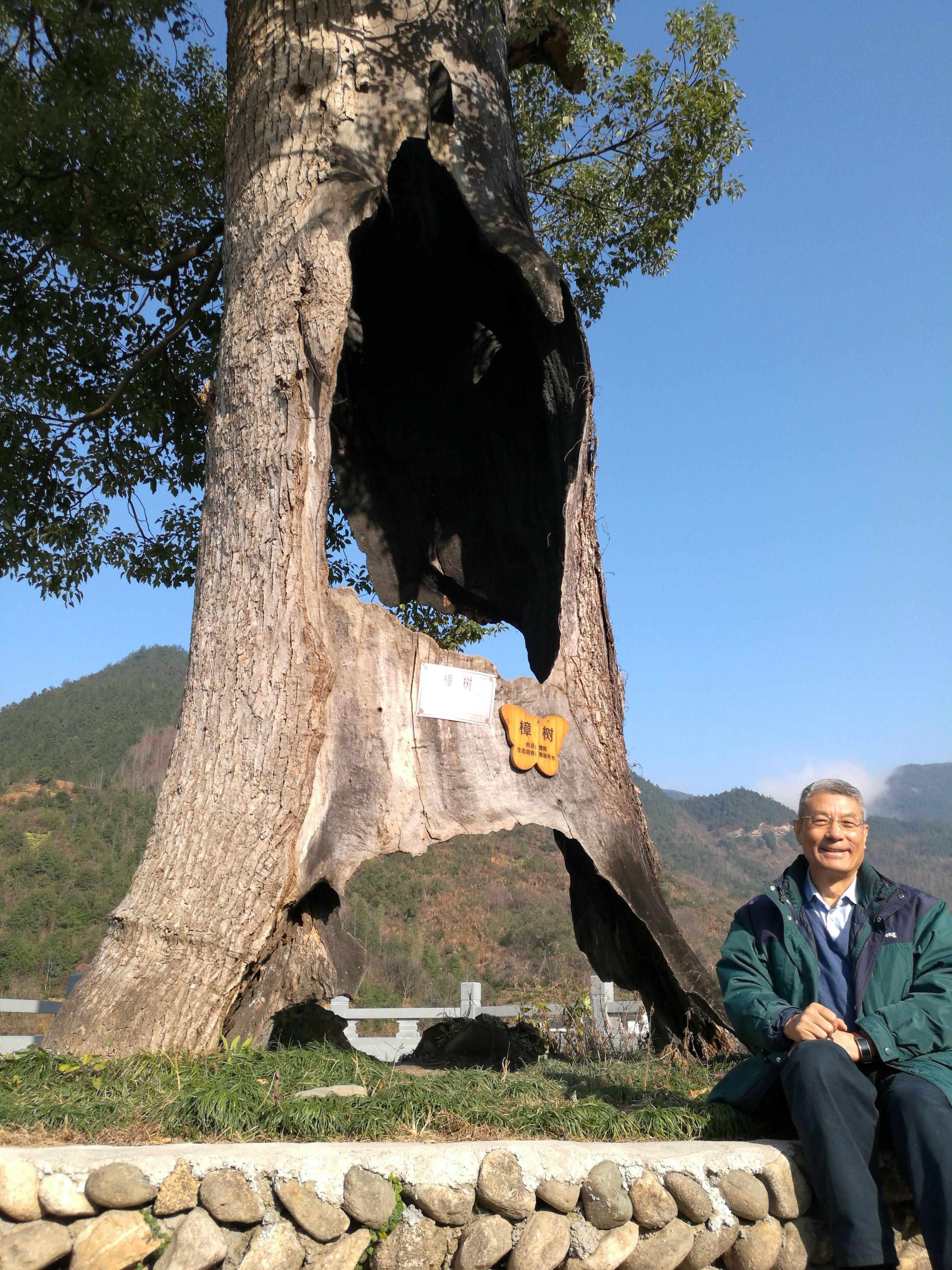 梁衡与人文古树