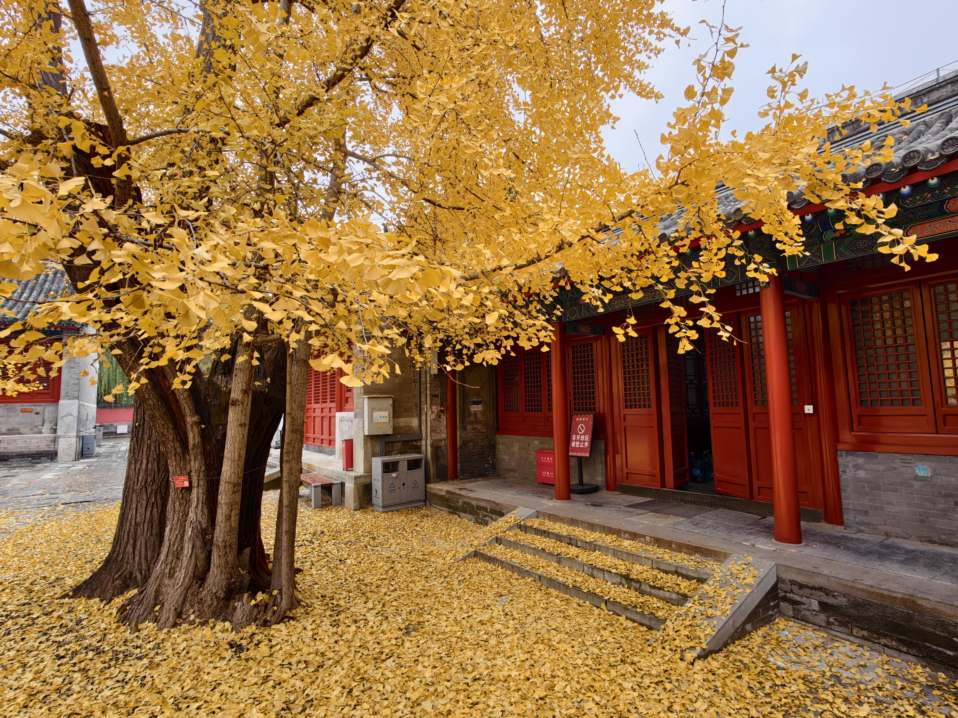 承恩寺满院鎏金