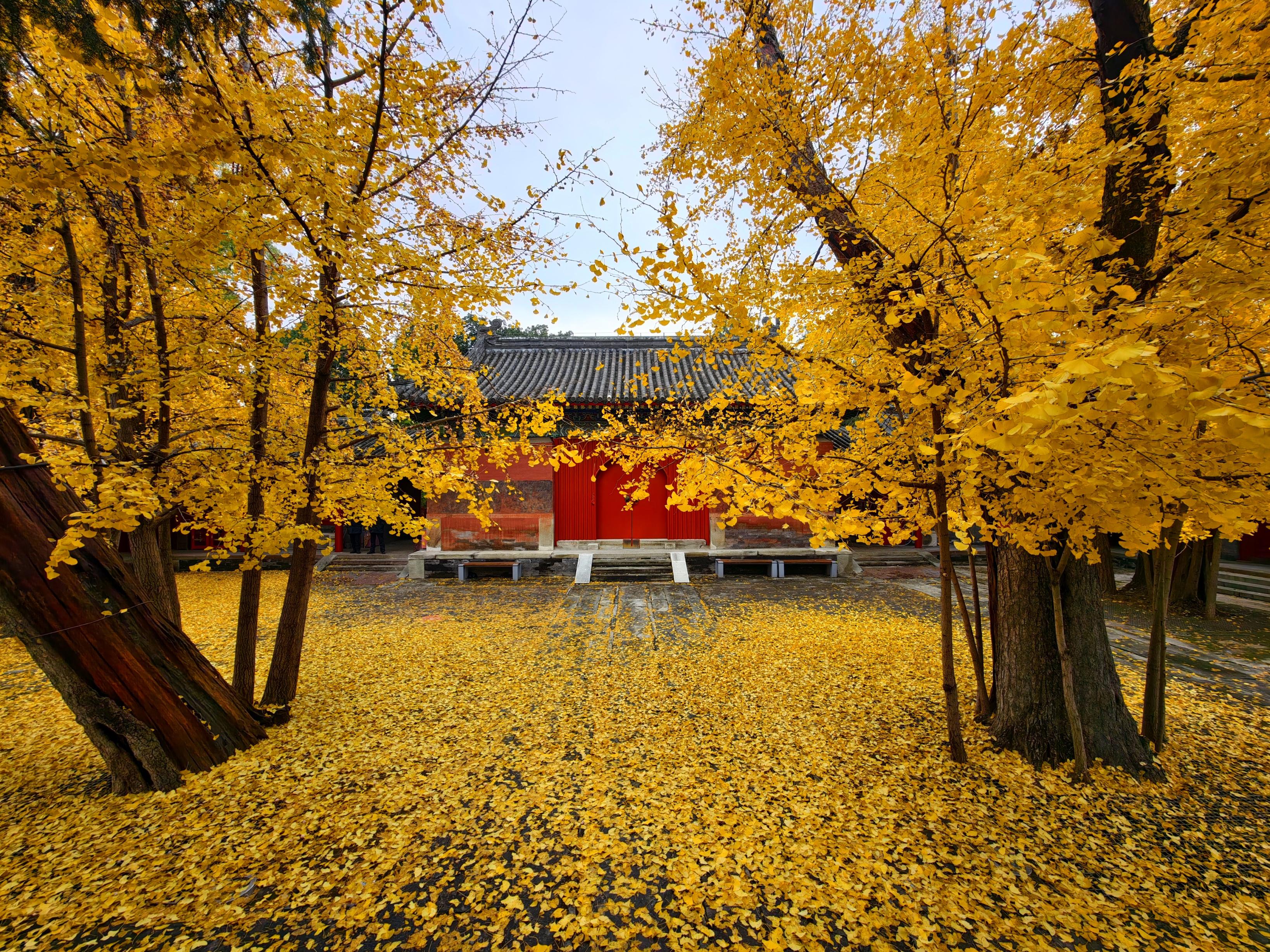 承恩寺满院鎏金