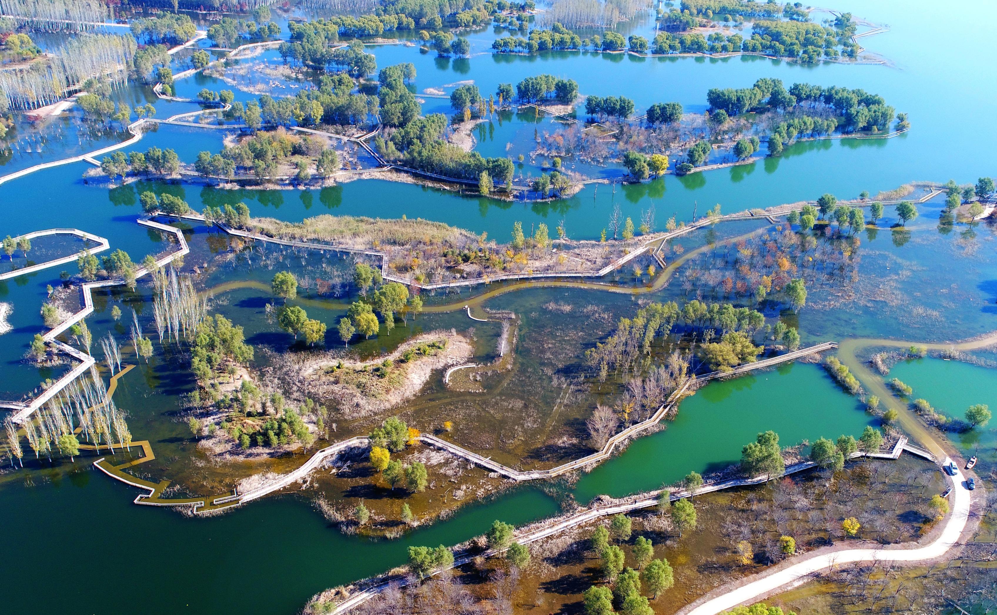 秋染神州多锦绣（19）#