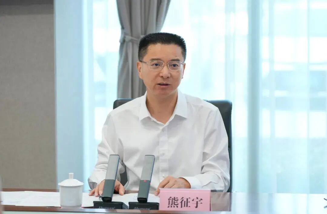 武汉市市长调整_京报网