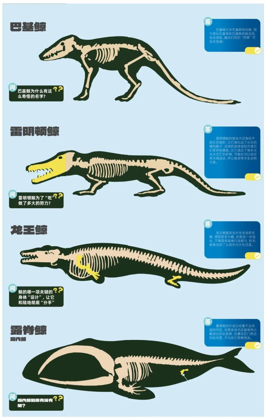 特展推荐|国家自然博物馆"深海探秘"