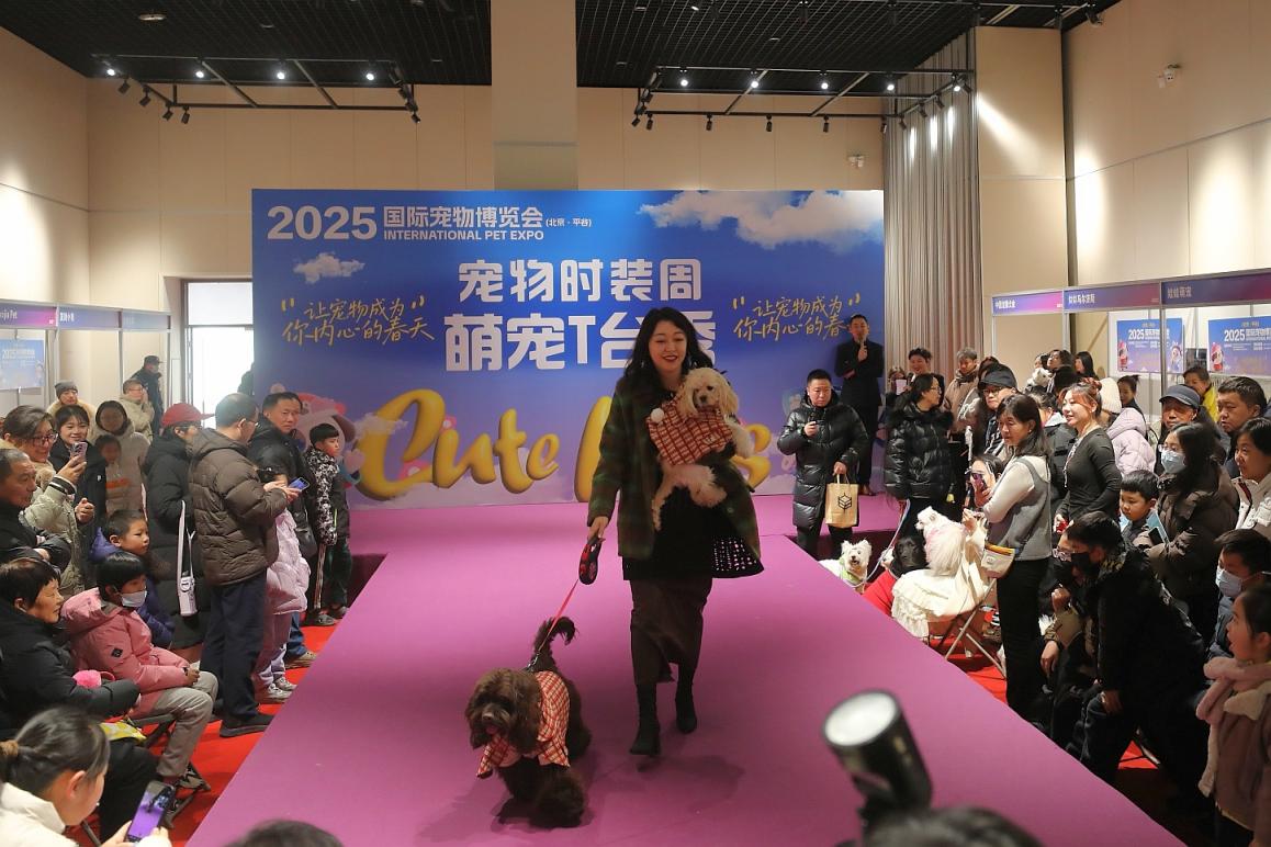 1300只全球名猫名犬亮相北京平谷4
