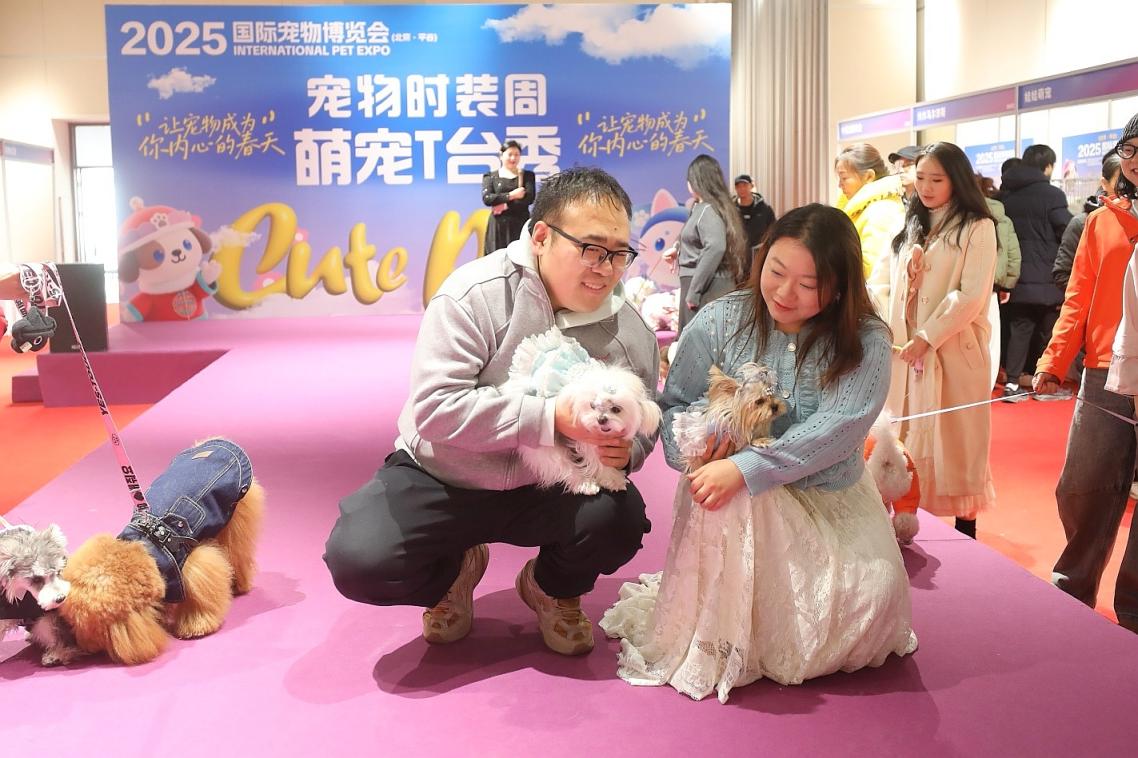 1300只全球名猫名犬亮相北京平谷2