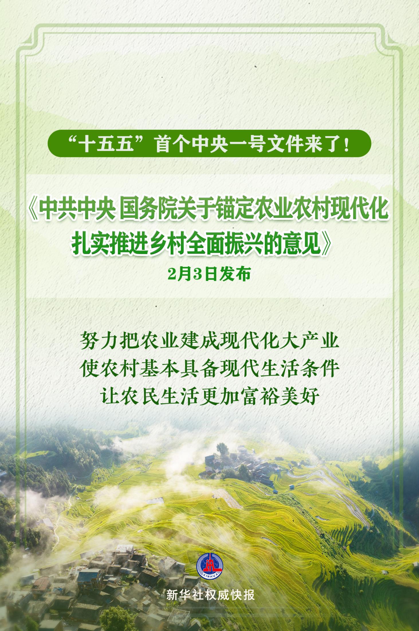 神农种业（300189）强势表现分析：政策驱动与季节性因素叠加